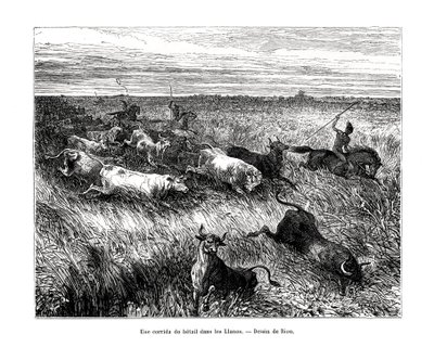 Karja, Los Llanos, Venezuela, 1800-luku tekijältä Edouard Riou