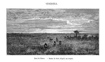 Los Llanos, Venezuela, 1800-luku tekijältä Edouard Riou