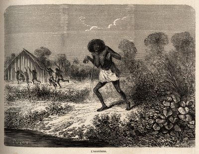 Paniikki Conibos-intiaanien keskuudessa, jotka pakenivat Paul Marcoyn retkikunnan saapuessa lähelle Tumbayaa (Peru), joka itse joutui vanhan intiaanien pahan loitsun uhriksi, piirtäen Riou havainnollistamaan P:n matkaa vuosina 1848–1860. Marcoy, alkaen th tekijältä Edouard Riou
