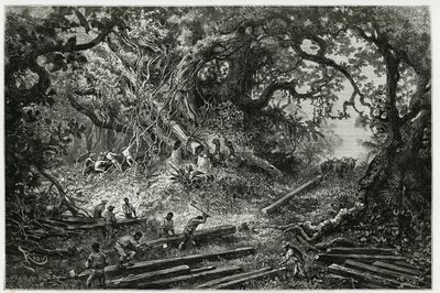 Mahonkipuun hyödyntäminen Andien metsissä. Rioun kaiverrus havainnollistamaan arkeologin ja valokuvaajan Desire Charnayn (1828-1915) tarinaa "Matka Yucataniin ja Lacandonien maahan" vuonna 1882. Julkaistu Tour du monde noussa tekijältä Edouard Riou