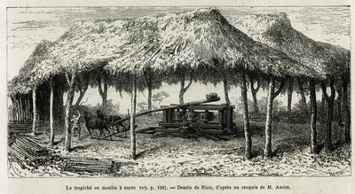 Trapiche tai sokerimylly keppien jauhamiseen Panchessa (Kolumbia), Rioun piirustus kuvaamaan tarinaa Equinoxiale Americasta (Kolumbia, Ecuador, Peru) vuosina 1875-1876, kirjoittanut toim. andre, Ranskan hallituksen matkustusvastuumaksu. Kaiverrus kirjassa  tekijältä Edouard Riou