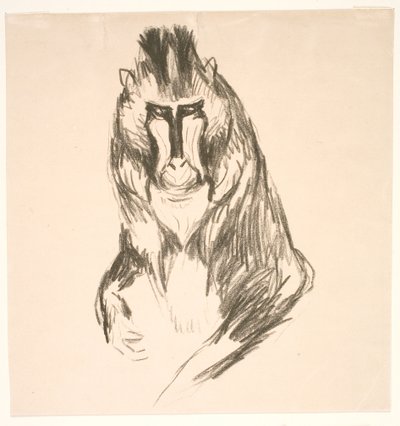 Gorilla (Manner) tekijältä Edvard Munch