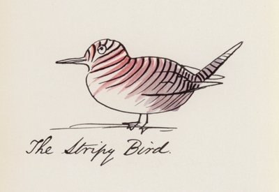 Edward Lear, Lintukirja: Raidallinen lintu (värilitho) tekijältä Edward (after) Lear
