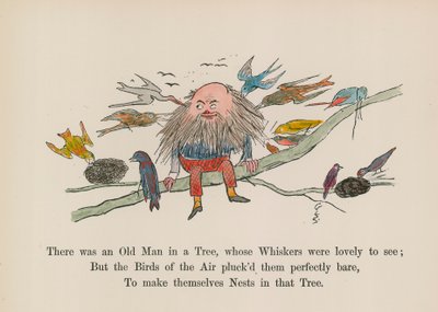 Puussa oli vanha mies, jonka viikset olivat ihanat katsella (värillinen kaiverrus). tekijältä Edward (after) Lear