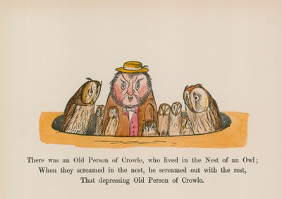 Olipa kerran Crowlen vanha ihminen, joka asui pöllön pesässä (värillinen kaiverrus). tekijältä Edward (after) Lear