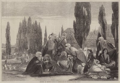 Scutarin matkamuisto tekijältä Edward A. Armitage
