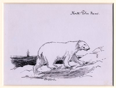 Jääkarhu, n. 1905 (muste paperille) tekijältä Edward Adrian Wilson