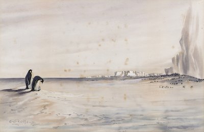 Keisaripingviini Rookery, Cape Crozier tekijältä Edward Adrian Wilson