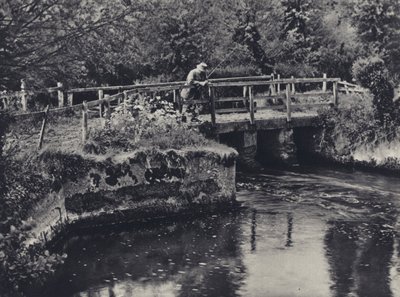 Burcombe Nadderin varrella (s/w-kuva) tekijältä Edward Alfred Barton