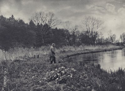 Kevään ensimmäiset kuningaslinnut (s/w-kuva) tekijältä Edward Alfred Barton