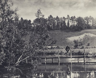 Tumbling Bay, Fullertonin alapuolella sijaitsevalla testin kantajalla (s/w-kuva). tekijältä Edward Alfred Barton