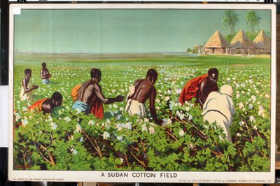 Sudanin puuvillapelto sarjasta "Empire Trade is Growing" (väri litho) tekijältä Edward Barnard Lintott
