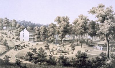 Stribling Springs, Spa Village, Augusta Country, 1858 tekijältä Edward Beyer