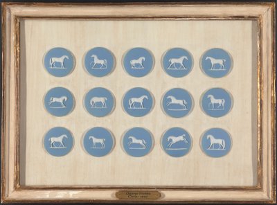 Horse Studies in Relief, George Stubbsin mukaan tekijältä Edward Burch