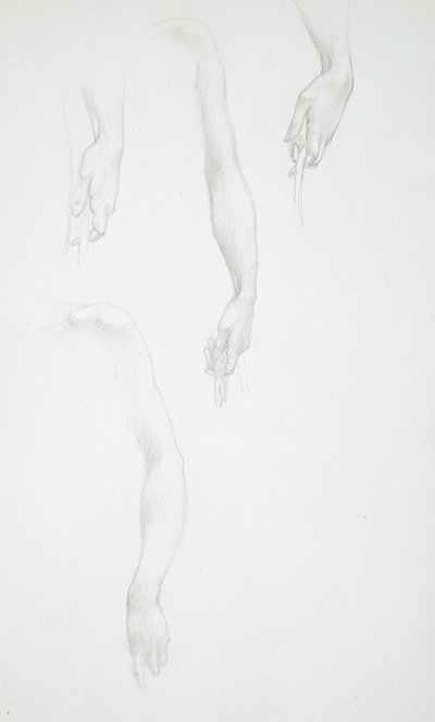 Käsien ja käsivarsien luonnoksia (etupuoli); Naisen vartalon luonnos (takapuoli) tekijältä Edward Burne-Jones
