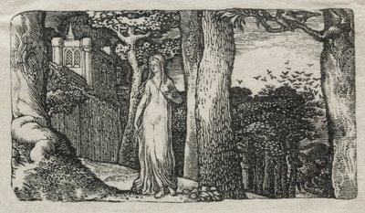 The Lady and the Rooks, 1829. tekijältä Edward Calvert