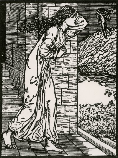 Psyyke ryntää ulos palatsista tekijältä Edward Coley (after) Burne Jones