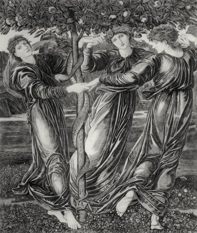 Hesperidien puutarha tekijältä Edward Coley (after) Burne Jones
