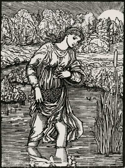 Ruokojen tehtävä tekijältä Edward Coley (after) Burne Jones