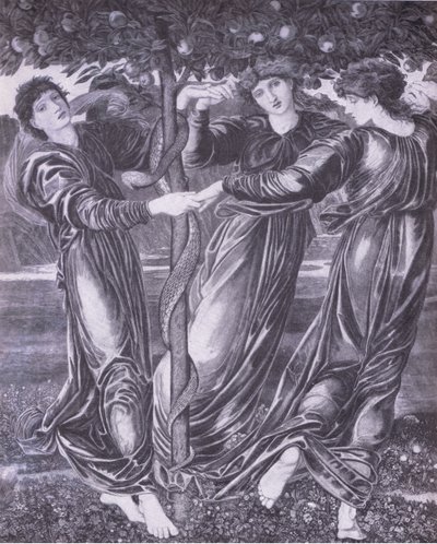 Hesperidien puutarha, Bibby