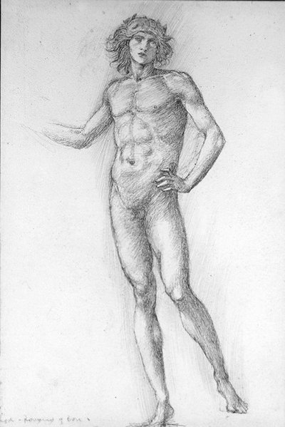 Rakkaus, Ruusun Romaunt tekijältä Edward Coley Burne Jones