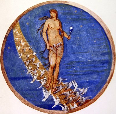 Kukkakirja: V. Taivaan ruusu tekijältä Edward Coley Burne Jones