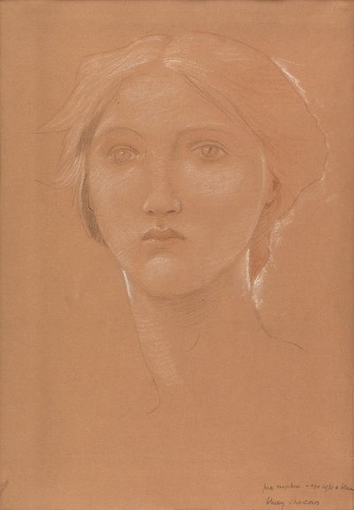 Tutkimus Margaret Burne-Jonesin johtajasta "Kuningas Cophetua ja kerjäläisneito" (liitu paperille) tekijältä Edward Coley Burne Jones