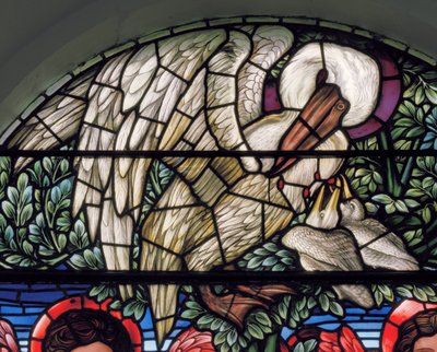 Pelikaani hurskaudessaan tekijältä Edward Coley Burne Jones