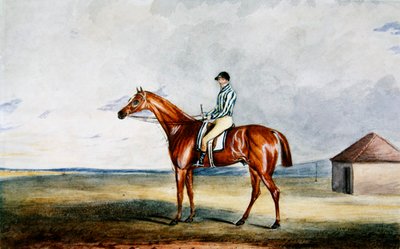 Lord Jerseyn "Riddlesworth" H. Edwards Up, n. 1931 (akvarelli paperille) tekijältä Edward Duncan