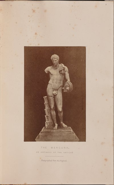 Elohopea tekijältä Edward Falkener