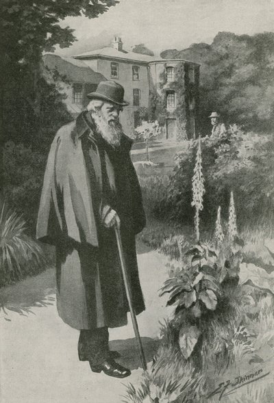 Charles Darwin Down Housen puutarhassaan (litografia) tekijältä Edward Frederick Skinner