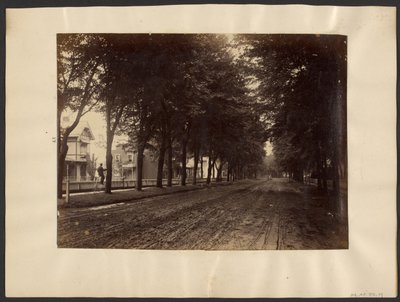 [Tree Lined Street] tekijältä Edward H. Hart