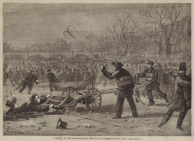 The Rescue on the Serpentine, Royal Humane Society