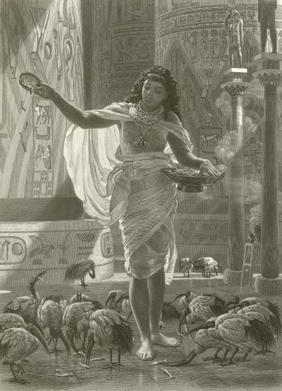 Pyhän ibiksen ruokkiminen Karnacin hallissa tekijältä Edward John Poynter