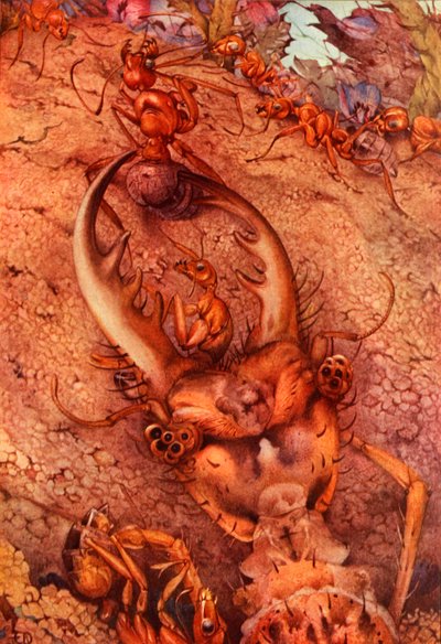 The Ant Lion, 1914. DELETE - tekijänoikeudella suojattu taiteilija tekijältä Edward Julius Detmold
