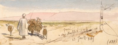 Kuiva Halfeh Grass tekijältä Edward Lear