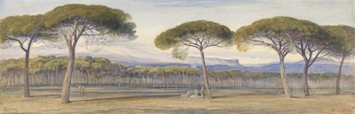 Näkymä mäntymetsään Cannesin yläpuolella tekijältä Edward Lear