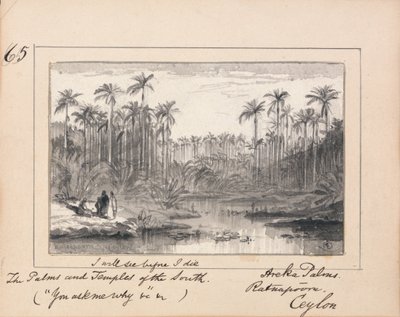 Areca Palms, Ratnapura, Ceylon - `` Näen ennen kuolemaani Eteläpalmat ja temppelit 