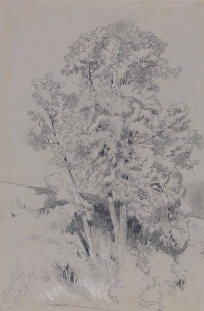 Burpham 4.10.1834 tekijältä Edward Lear