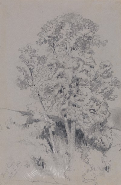 Burpham, 4. lokakuuta 1834 tekijältä Edward Lear