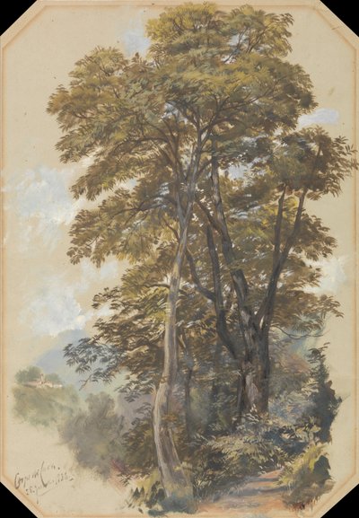Louhosjoukot, 28. kesäkuuta 1838 tekijältä Edward Lear