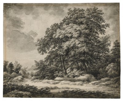 Metsä maisema tekijältä Edward Lear