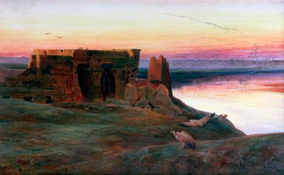 Come Ombo Temple, Egypti, 1856. tekijältä Edward Lear