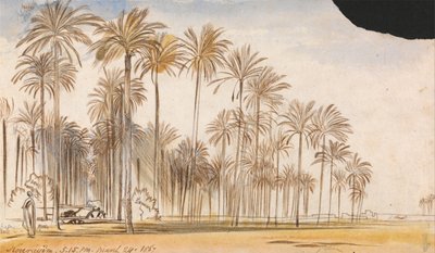 Kourayim tekijältä Edward Lear