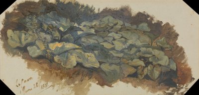 Louhos tekijältä Edward Lear