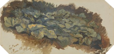 La Cava tekijältä Edward Lear