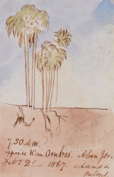Vastapäätä Kom Ombos Abu Jer tekijältä Edward Lear