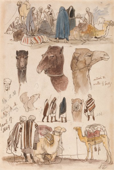 Suezin muurien ulkopuolella, kello 8.30, 17. tammikuuta 1849 (54) tekijältä Edward Lear
