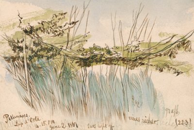 Pettenasco, Lago d`Orta tekijältä Edward Lear
