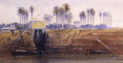 Sakkia, Ibreemin lähellä, 6. helmikuuta 1865. tekijältä Edward Lear